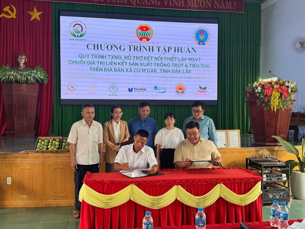 HTX Xanh Cao Nguyên Tổ Chức Tập Huấn Truy Xuất Nguồn Gốc, VietGAP Và Mã Số Vùng Trồng Tại Cư M’gar