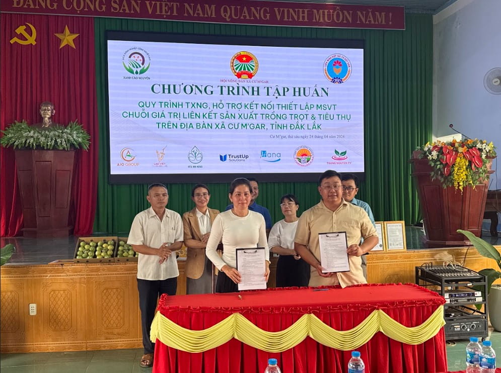 HTX Xanh Cao Nguyên Tổ Chức Tập Huấn Truy Xuất Nguồn Gốc, VietGAP Và Mã Số Vùng Trồng Tại Cư M’gar