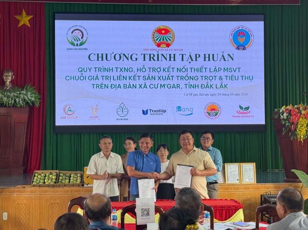 HTX Xanh Cao Nguyên Tổ Chức Tập Huấn Truy Xuất Nguồn Gốc, VietGAP Và Mã Số Vùng Trồng Tại Cư M’gar